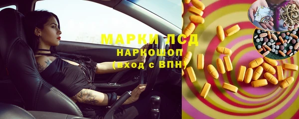 прущие грибы Богданович
