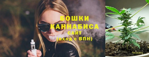 дживик Богородск