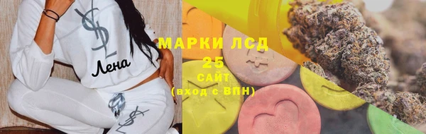прущие грибы Богданович