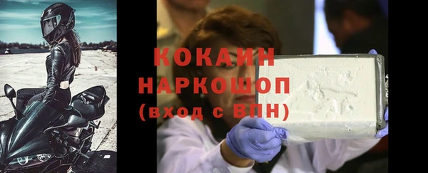 прущие грибы Богданович