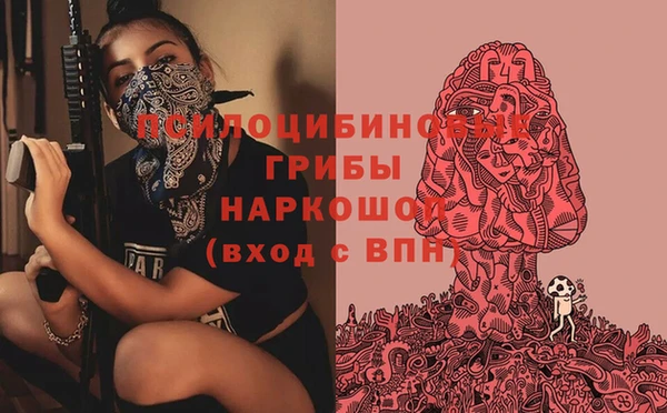прущие грибы Богданович