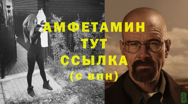 прущие грибы Богданович