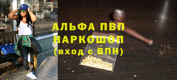 прущие грибы Богданович