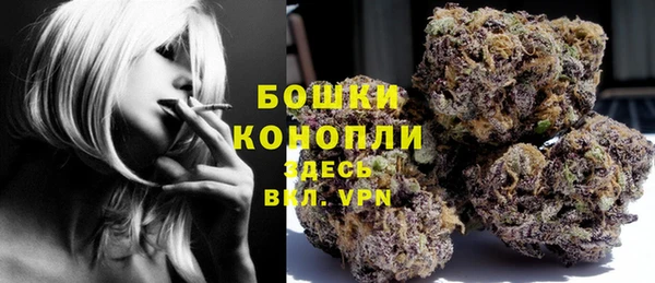 кокс Богородицк