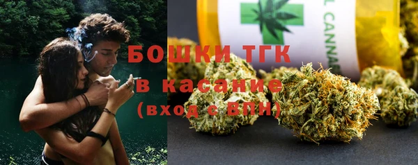 прущие грибы Богданович