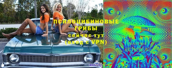 кокс Богородицк