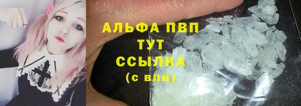 прущие грибы Богданович