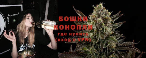 кокс Богородицк
